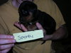Spanky