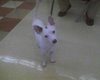 Hermy