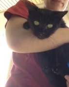 Cuddles batgirl