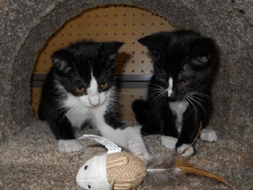 Nip and Tuck