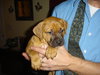 Chester
