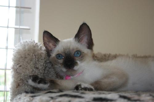 Lily