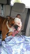 Chainsaw