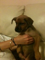 Winnie
