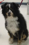Benny