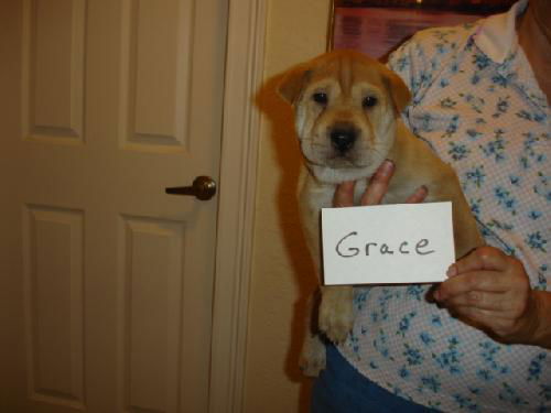 Grace