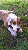 Winnie