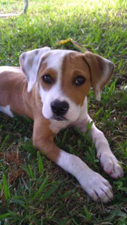 Winnie
