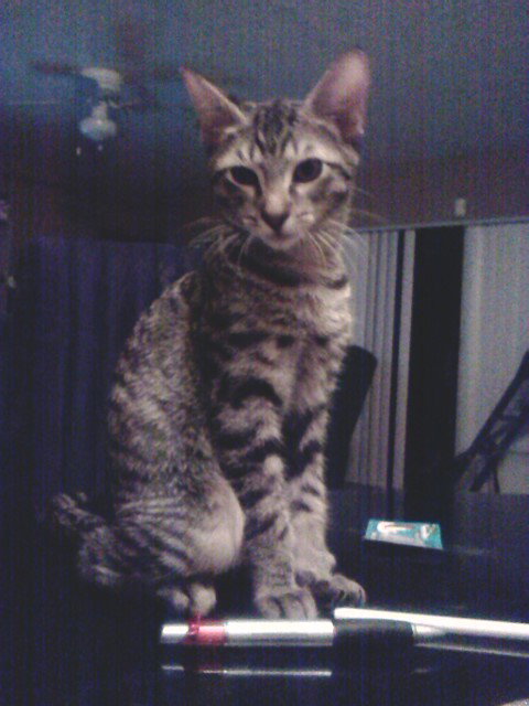 Spike