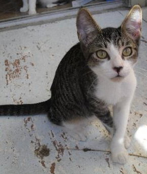 Rupert