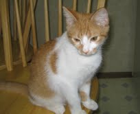 Charlie