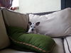 Moby