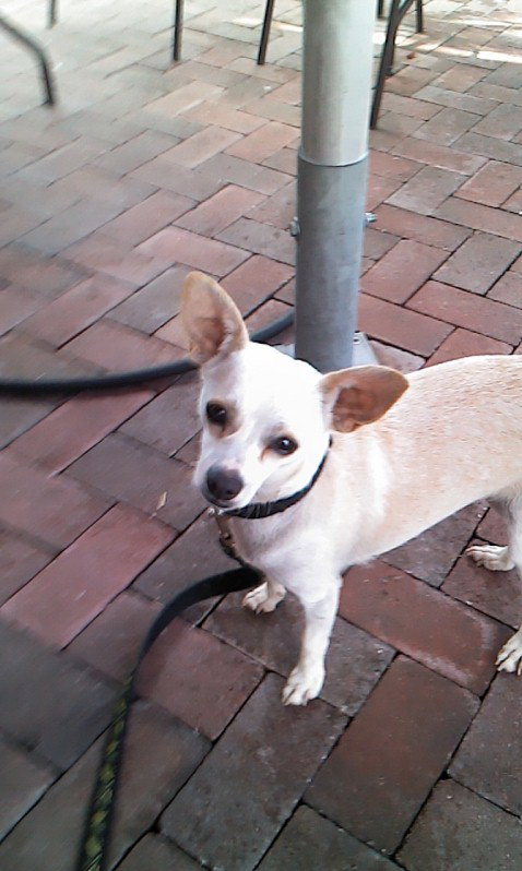 Miss Lilly