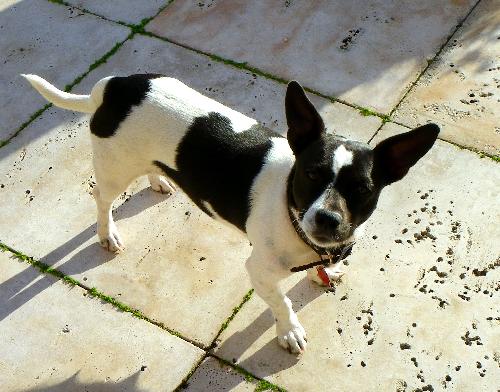 Minnie