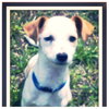 Charlie