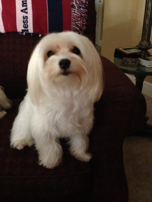 Molly