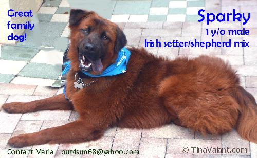 Sparky - courtesy list