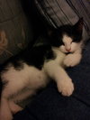 Charlie