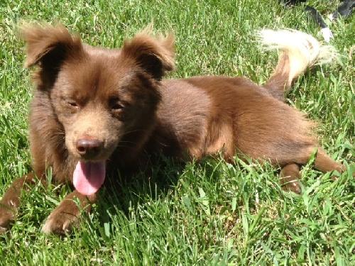 Lucas
