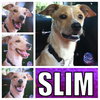 Slim