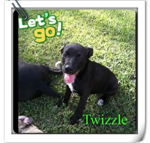 Twizzle