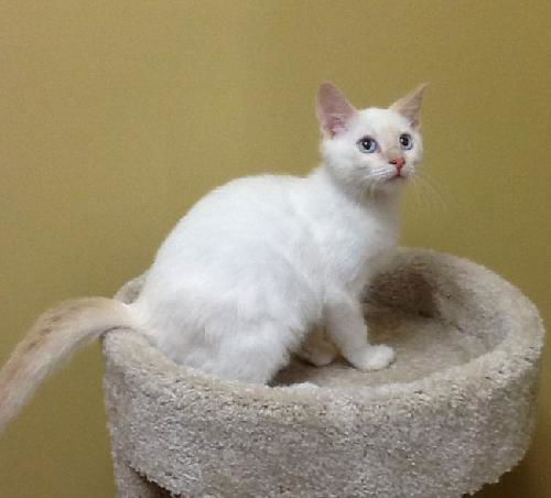 Casper