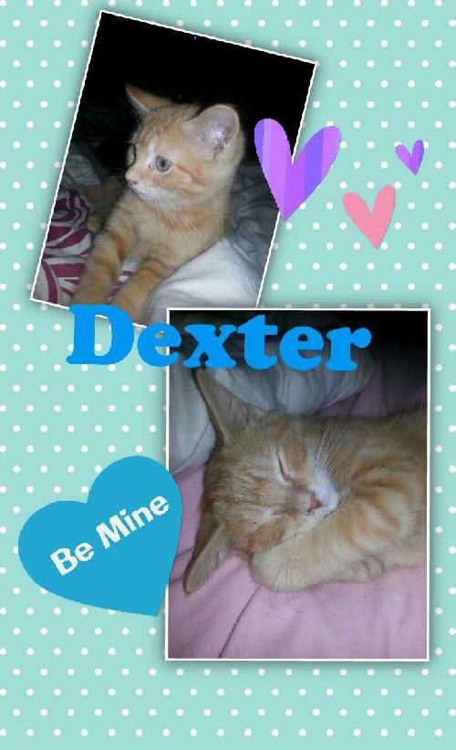 Dexter