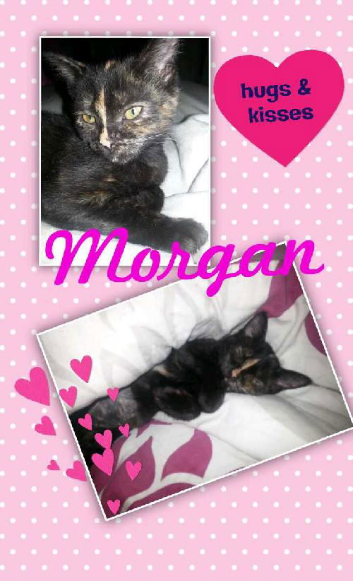 Morgan