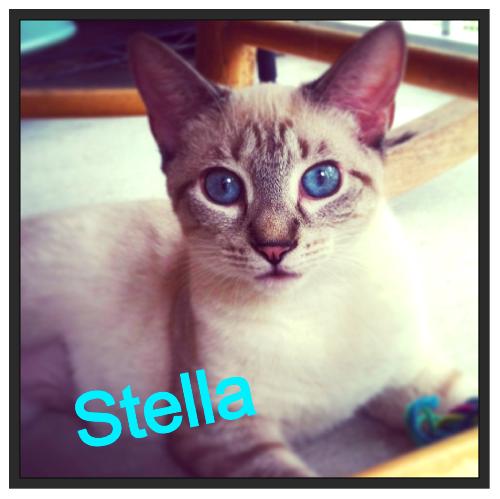 Stellah