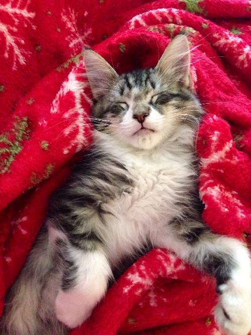 Smudge