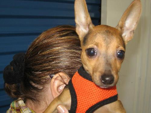 Ethel