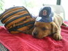 Nomar