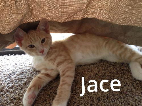 Jace