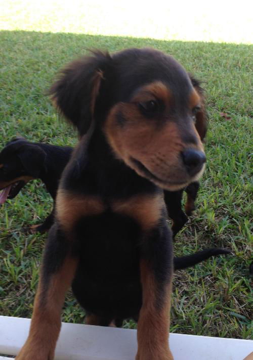 Ernie