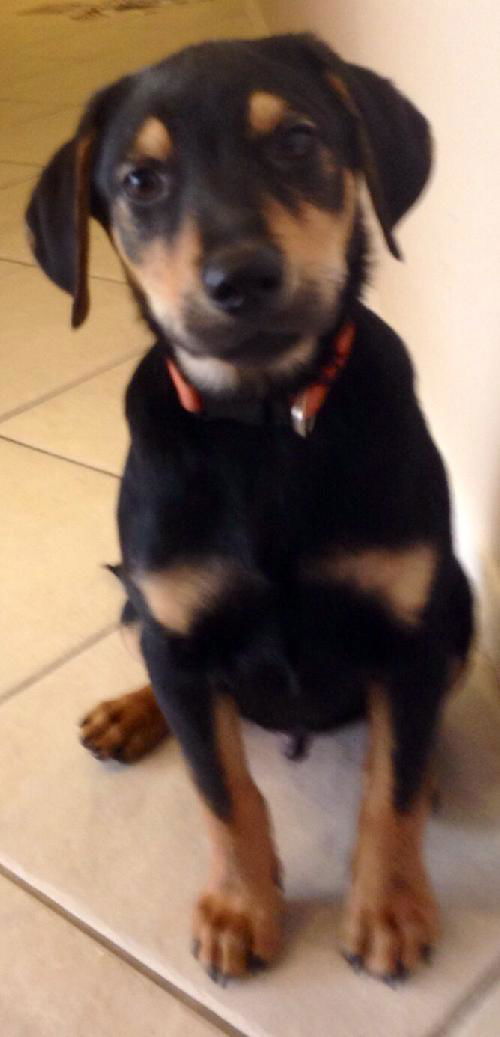 Edison