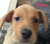 Cassy