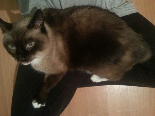 Lenore
