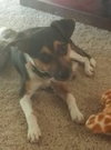 Donald aka Romeo