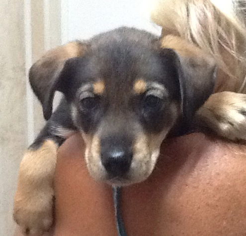 Winnie