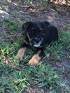 Lucy