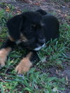 Lucy