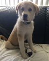 Axle