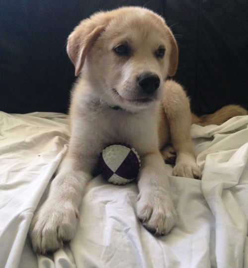 Axle