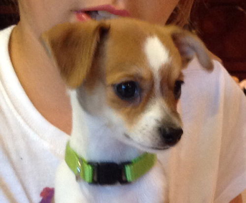Max