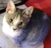 Judy