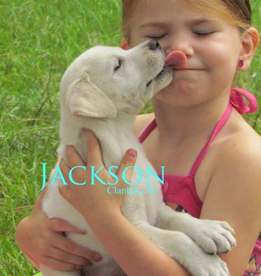 Jackson