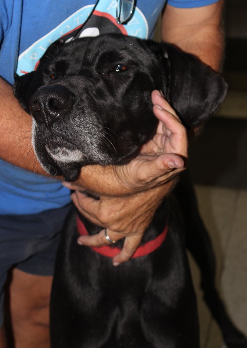 Chloe