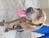 Kody