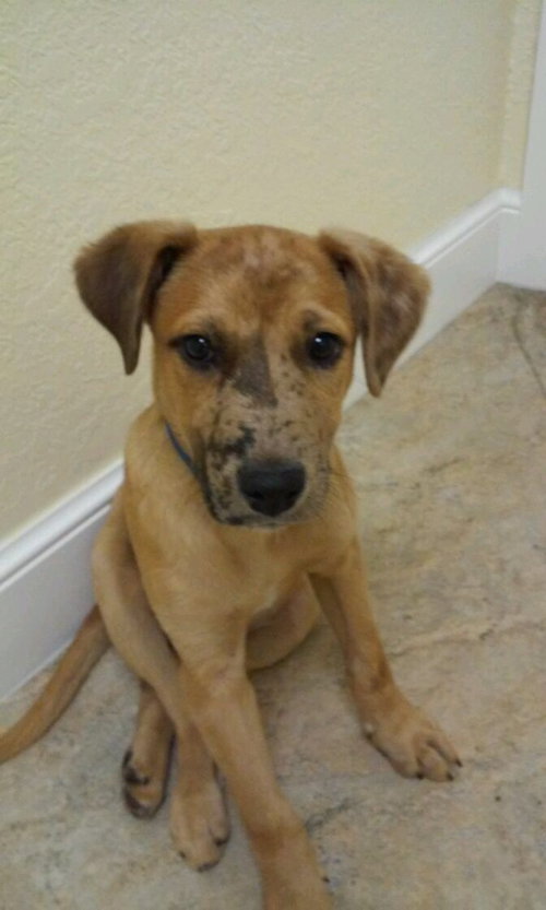 Buster