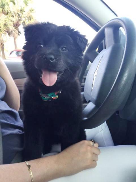 Fluffy